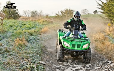 Arctic Cat 350H1 2x4 - EFT | ATV | ATVS Utilitários Curtos
