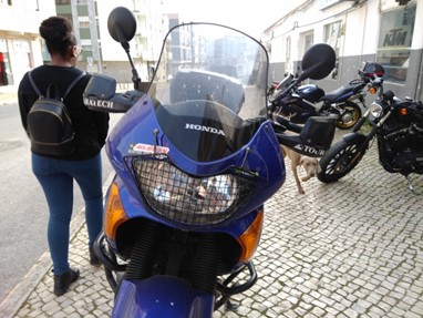 Honda Transalp XL 650 V | Moto