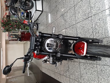 Benelli Leoncino 250 | Moto