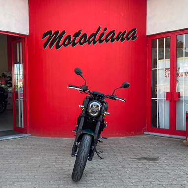 Benelli Leoncino 250 | Moto
