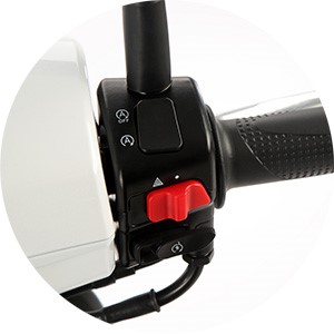 QJ Motor LTR 125 | Scooter | Scooters