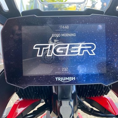 Triumph Tiger 900 Gt Aragon Edition | Moto