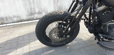 Harley-Davidson Cross Bones | Moto