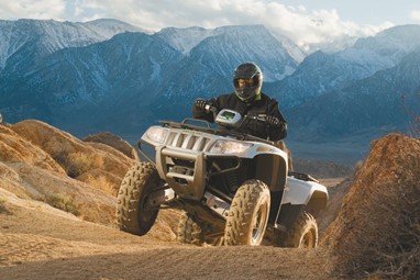 Arctic Cat THUNDERCAT 1000 H2 PS EFI - EFT | ATV | ATVS Utilitários Curtos