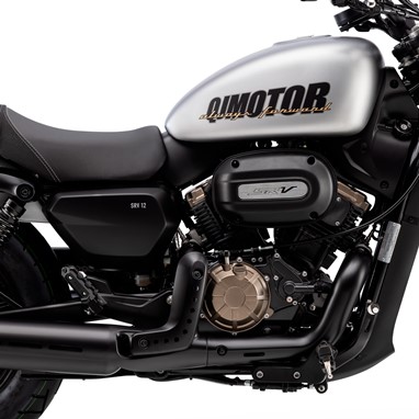 QJ Motor SRV 12 | Moto | Custom
