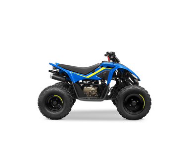 CFMOTO CFORCE 110 | ATV | ATV