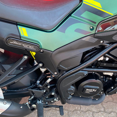 Benelli Leoncino 250 | Moto