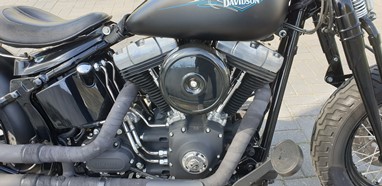 Harley-Davidson Cross Bones | Moto
